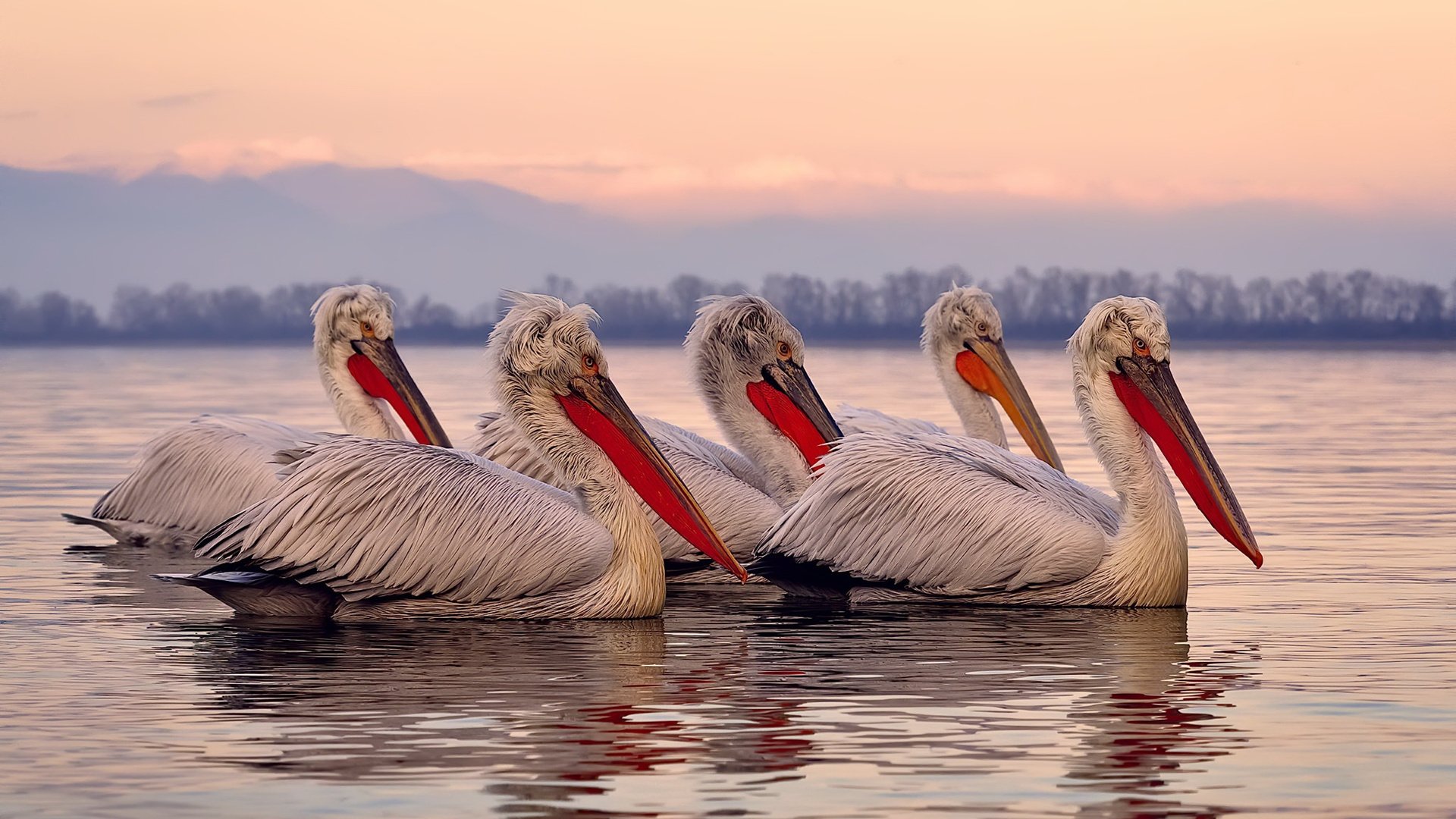 【布局思想】奥沙利文的多角度、多方案攻势谋划,奥沙利文破百