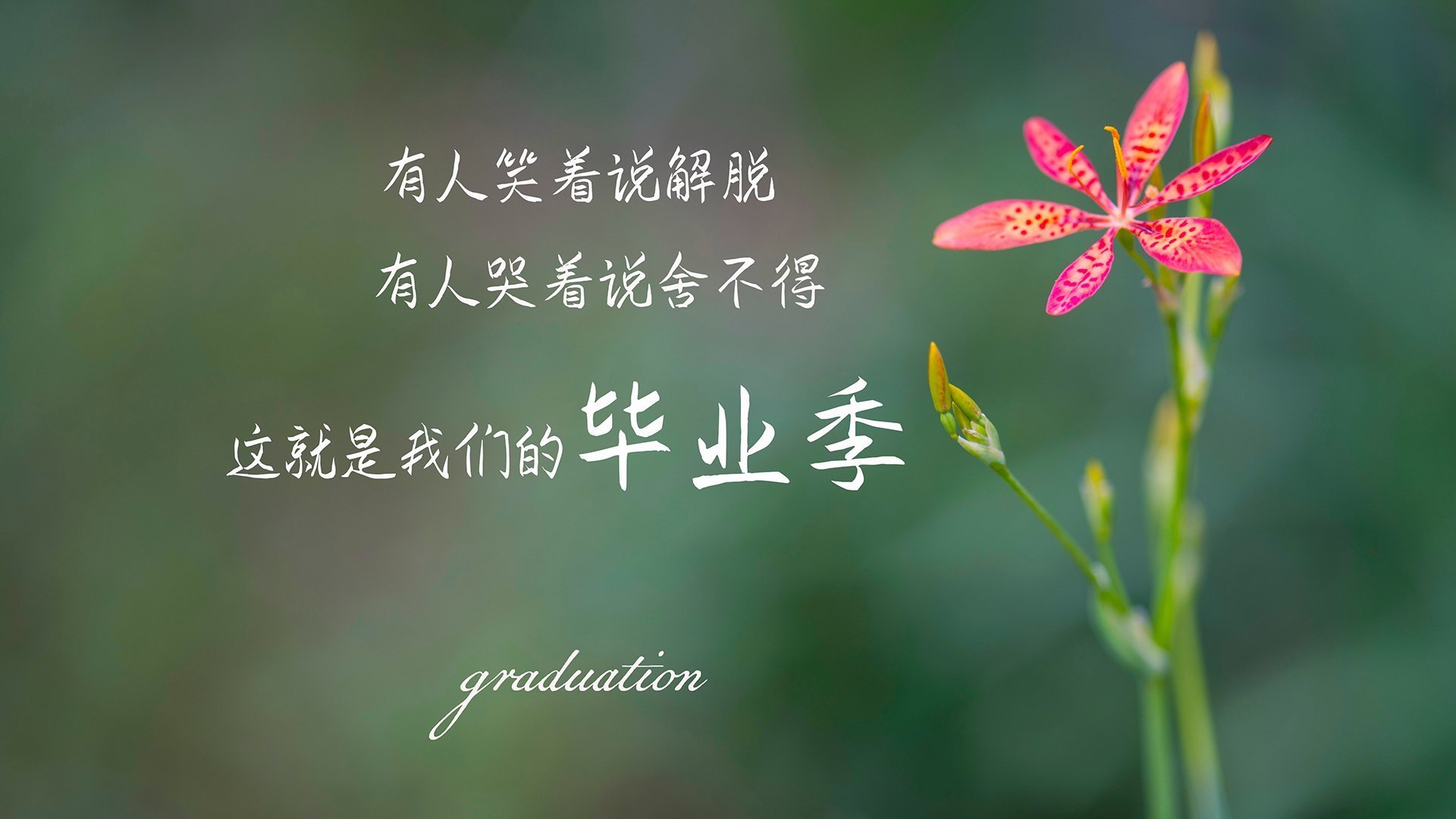 中国足球运动员身体素质提升计划正式启动,足球运动员身体素质好指的是哪些方面