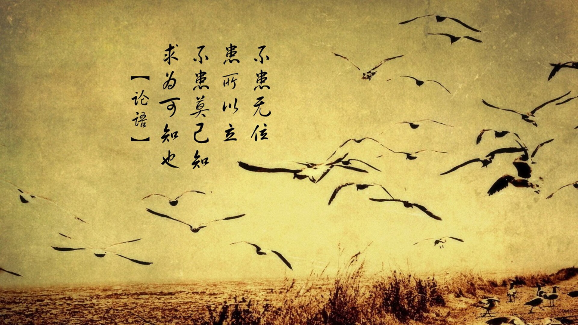 大型冲浪骑行竞赛，海浪与速度的完美融合，冲浪比赛计分规则